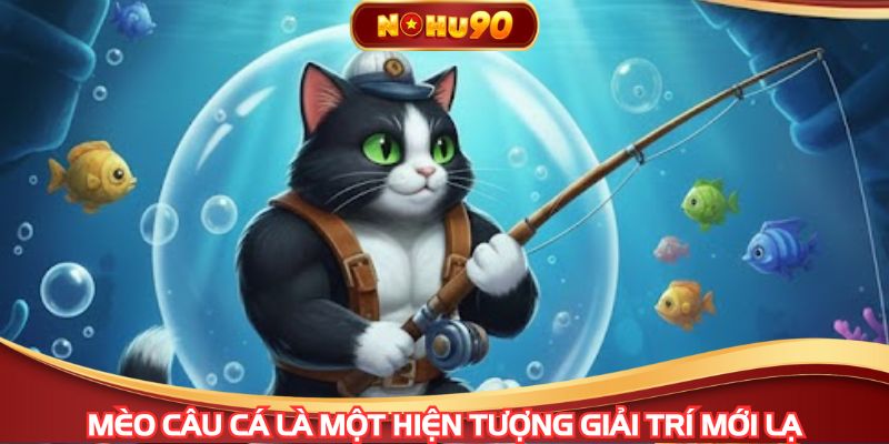 Mèo câu cá là một hiện tượng giải trí mới lạ